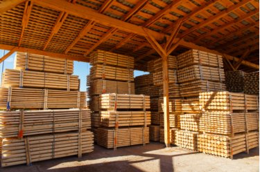Meist wird beim Bau auf Nadelholz gesetzt – denn dieses ist gegenüber Laubholz billiger. Am wichtigsten ist jedoch, dass das Holz gesund und entrindet ist.