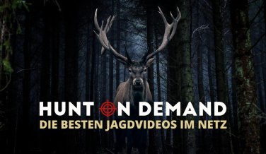 Hunt on Demand Titelbild