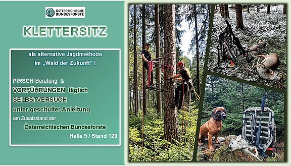 KLETTERSITZ als alternative Jagdmethode im Wald der Zukunft