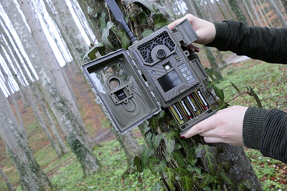 Reviermanager Wildkamera RM4eco