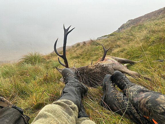 Import Schottland & UK