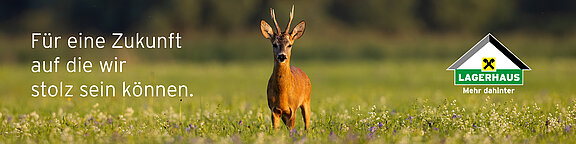 Raiffeisen Lagerhaus Salzburg Gmbh