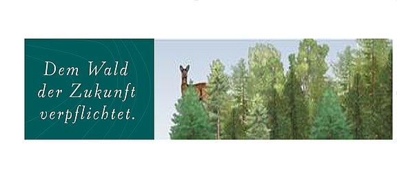 Österreichische Bundesforste AG / Klettersitz