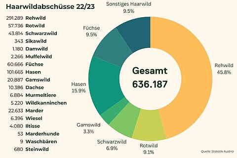 Haarwild, Statistik