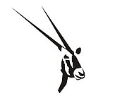 Altona African Safaris