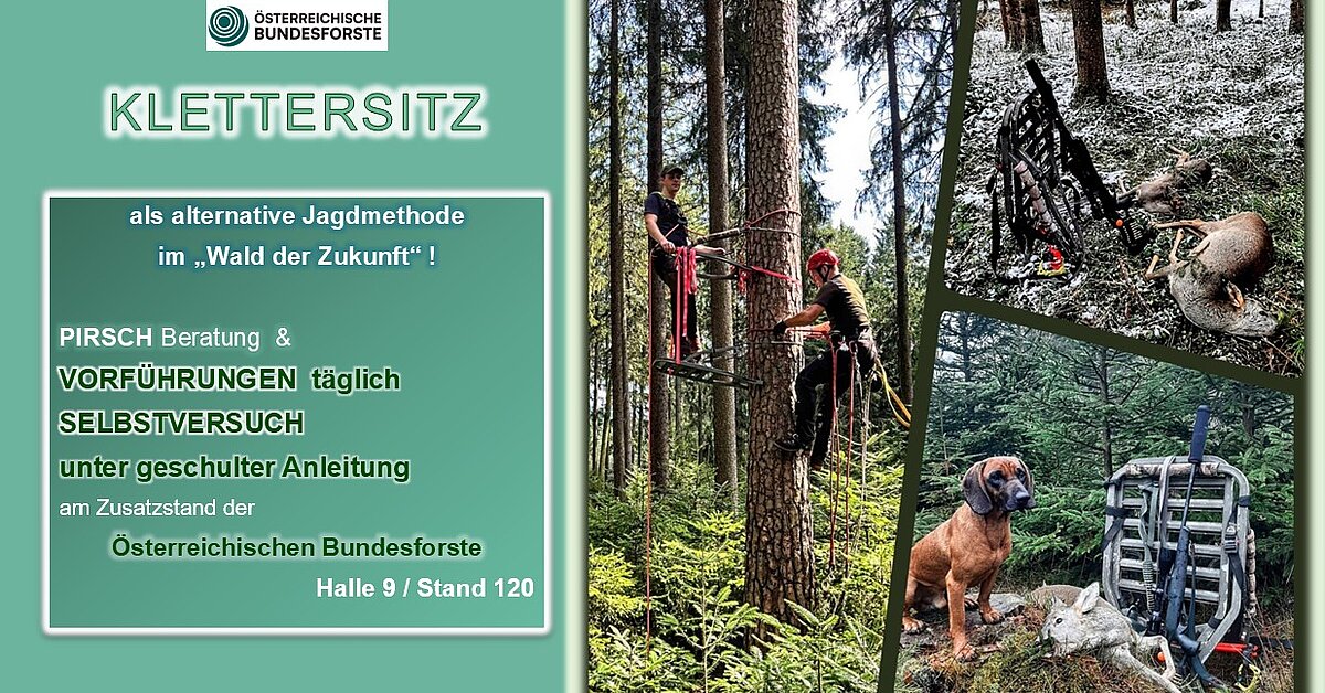 KLETTERSITZ als alternative Jagdmethode im "Wald der Zukunft" - hohejagd